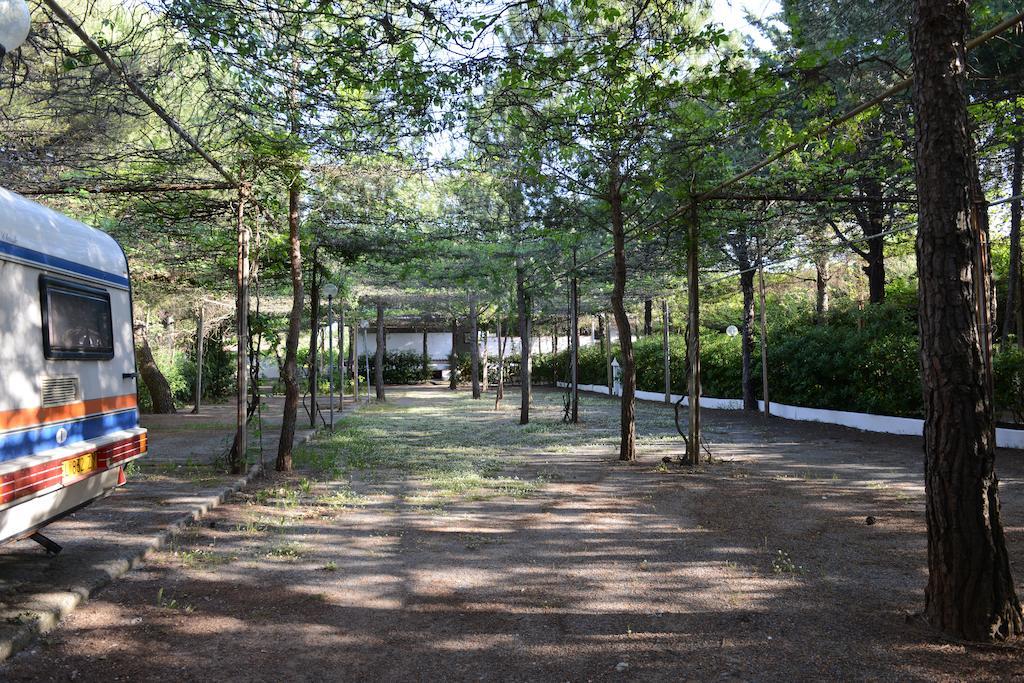 Villaggio La Pantera Rosa Скалеа Екстериор снимка